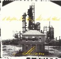 Shivaree - Goodnight Moon cover