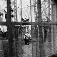 Paul McCartney - Fine Line cover