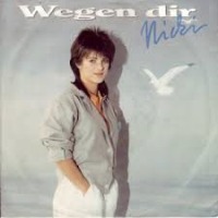 Nicki - Wegen dir cover
