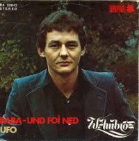 Wolfgang Ambros - Baba und foi ned cover