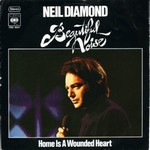 Neil Diamond - Beautiful noise cover