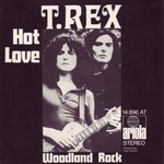 T. Rex - Hot love cover