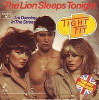 Tight Fit - The lion sleeps tonight cover