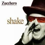 Zucchero - Bell'amore mio cover