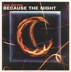 Jan Wayne - Because the night cover