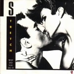 Stretch - Why Did You Do It cover