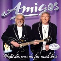 Amigos - Wenn der Himmel in Flammen steht cover