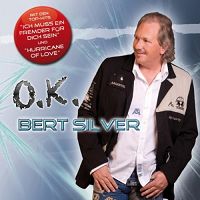 Bert Silver - Ich muss ein Fremder für dich sein cover
