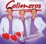 Calimeros - Ich kann dich nicht vergessen cover