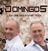 Domingos - Ich lieb dich immer noch cover