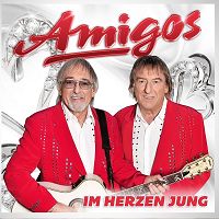 Amigos - Im Tal der wilden Rosen cover