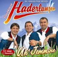 Zillertaler Haderlumpen - Fetzen muass es cover