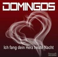 Domingos - Ich fang dein Herz heute Nacht cover