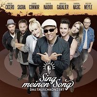 Andreas Gabalier - Dieser Weg (Sing meinen Song) cover