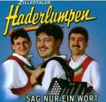 Zillertaler Haderlumpen - Sag nur ein Wort cover