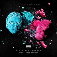 Lil Kleine & Ronnie Flex - Stoff und Schnaps (Faschings-Party-Hit 2017) cover