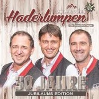 Zillertaler Haderlumpen - In 100.000 Jahren cover
