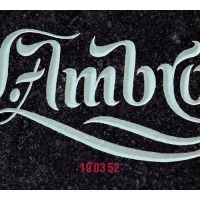 Wolfgang Ambros - Ausg'lacht (Just when I needed you most) cover