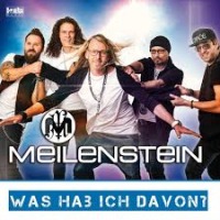 Meilenstein - Was hab ich davon cover