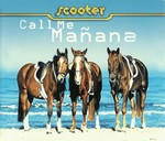 Scooter - Call me manana cover