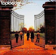 Toploader - Dancing in the moonlight cover