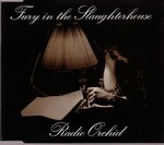 Fury in the slaughterhouse - Radio Orchid cover