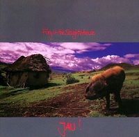 Fury in the Slaughterhouse - Won't forget these days cover