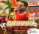 Shaggy - Feel The Rush cover