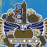 Bon Jovi - Because We Can cover
