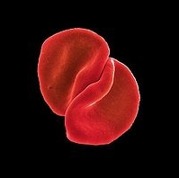 Peter Gabriel - The Book Of Love cover